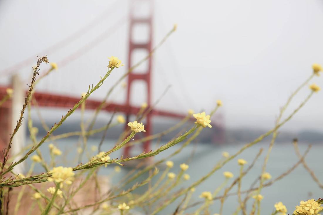 Take a Trip Over the Golden Gate Bridge by The Belle Blog