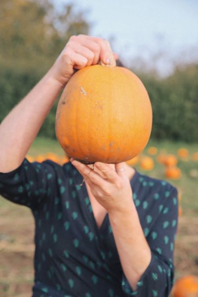 Pumpkin picking at Red House farm by The Belle Blog 