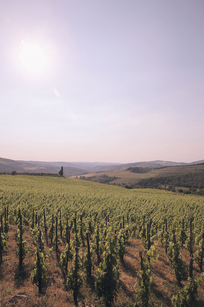 Discovering Volterra and San Gimignano on a Tuscan road trip by The Belle Blog 