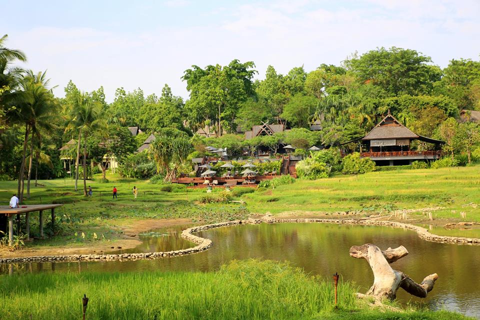 Four Seasons Chiang Mai, Thailand by The Belle Blog 