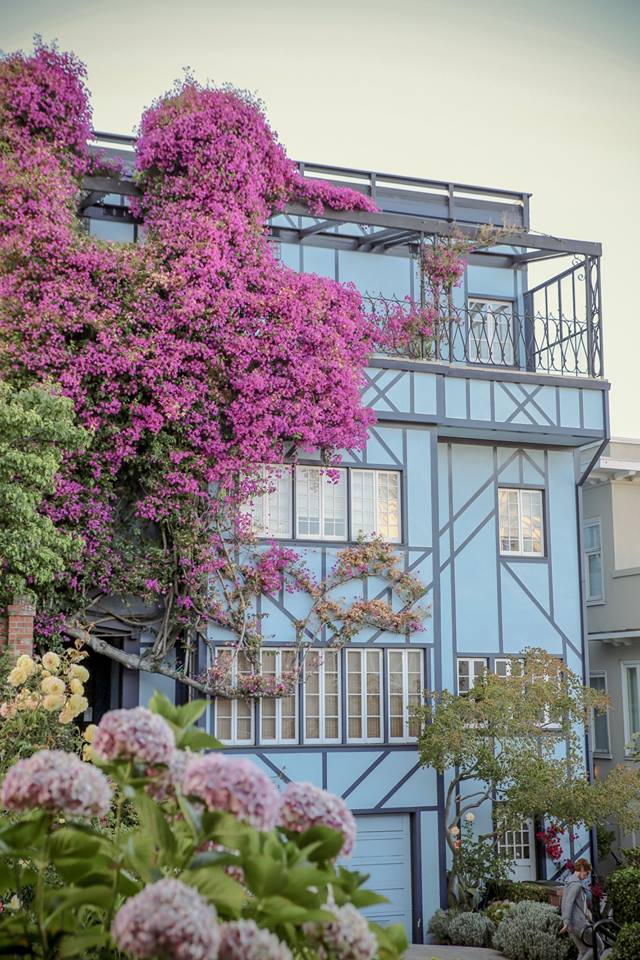 Discovering Lombard street San Francisco , the crookedest street in the world by The Belle Blog 