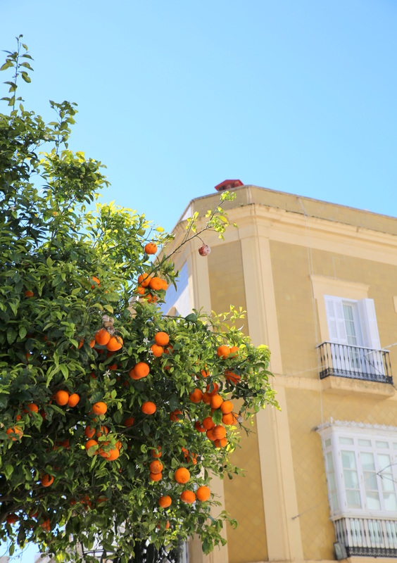 A day exploring the Spanish seaside town of Tarifa By The Belle Blog 