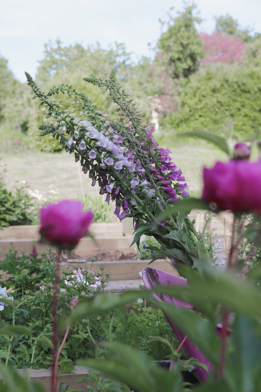 5 Ways To Prepare Your Garden For The Summer by The Belle Blog 