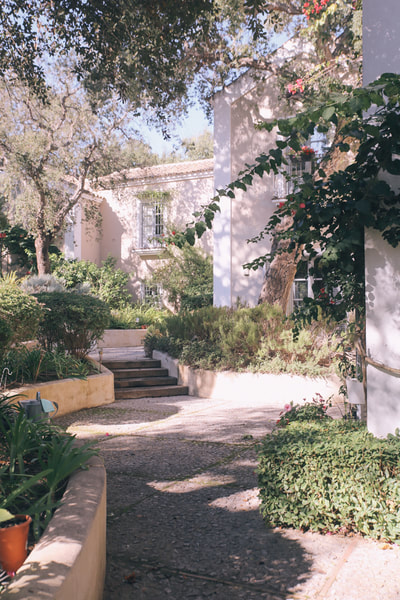 Le belle jardin in Spain. Photos from our Garden in Spain by the Belle Blog 