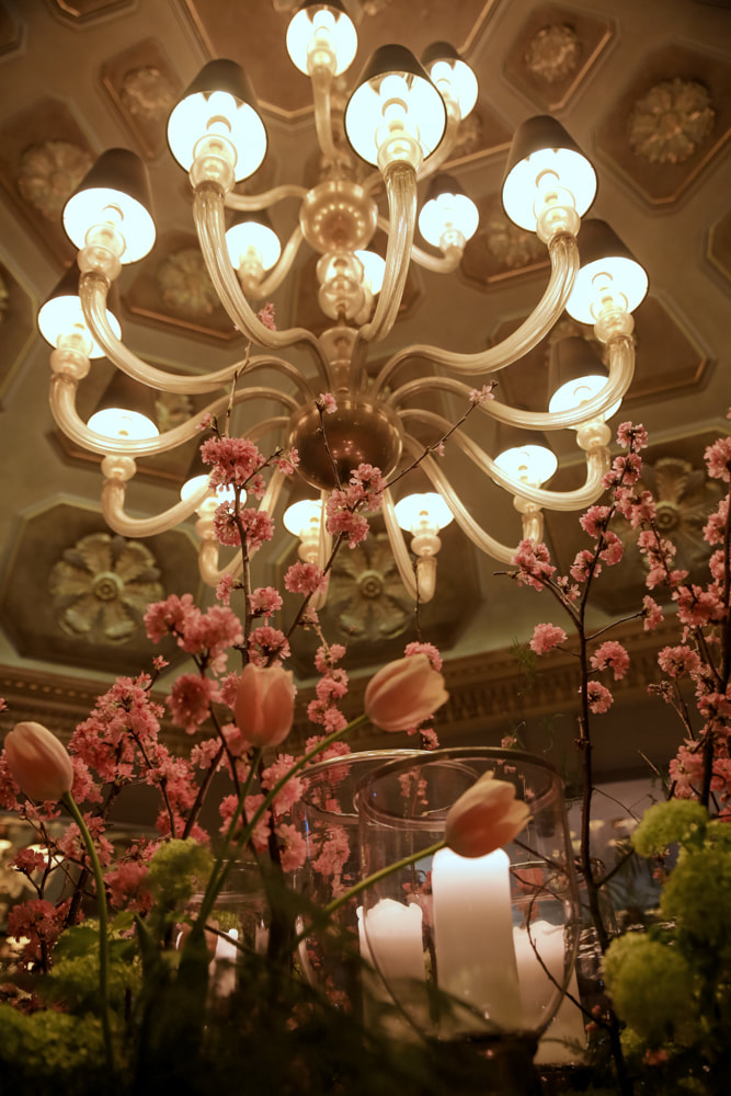 D'angleterre hotel by The Belle Blog