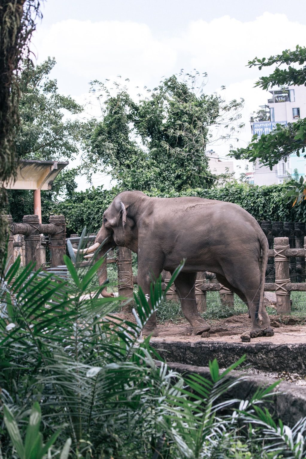 Cafe RuNam D'or and the Saigon Zoo and Botanical Gardens By The Belle Blog
