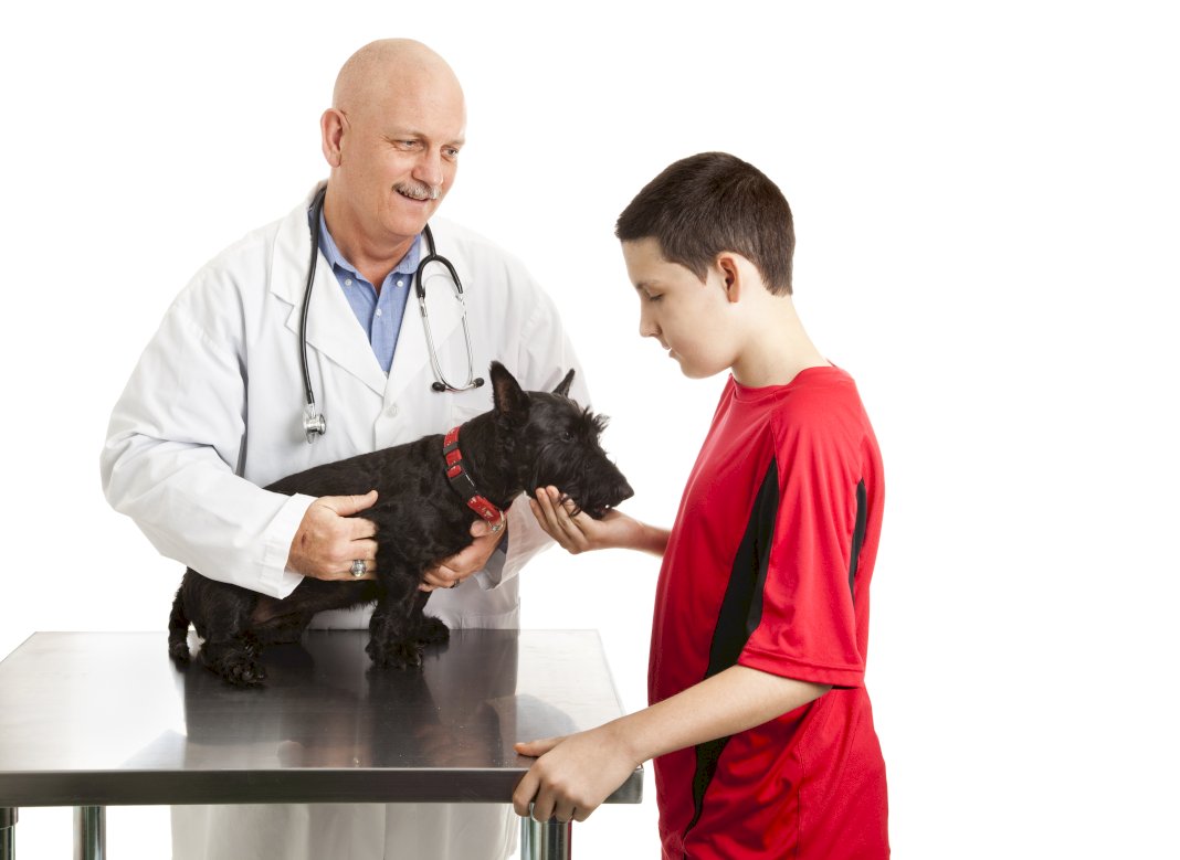 Steps in Starting a Veterinary Lab