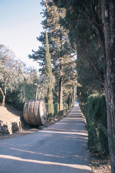 The road to Portofino, Italy by The Belle Blog 