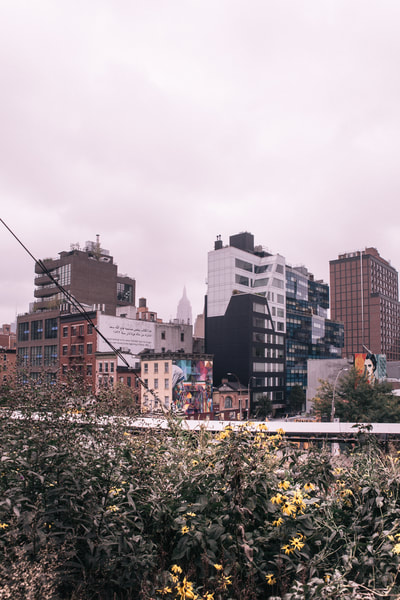  Perfect day in NYC. The High line by the Belle Blog 