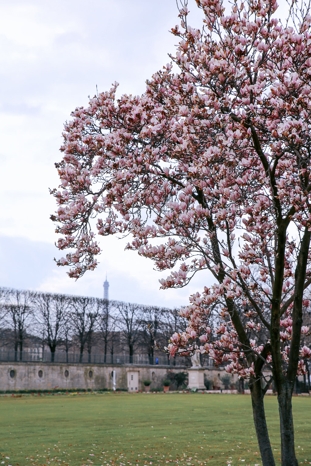 Springtime in Paris by The Belle Blog
