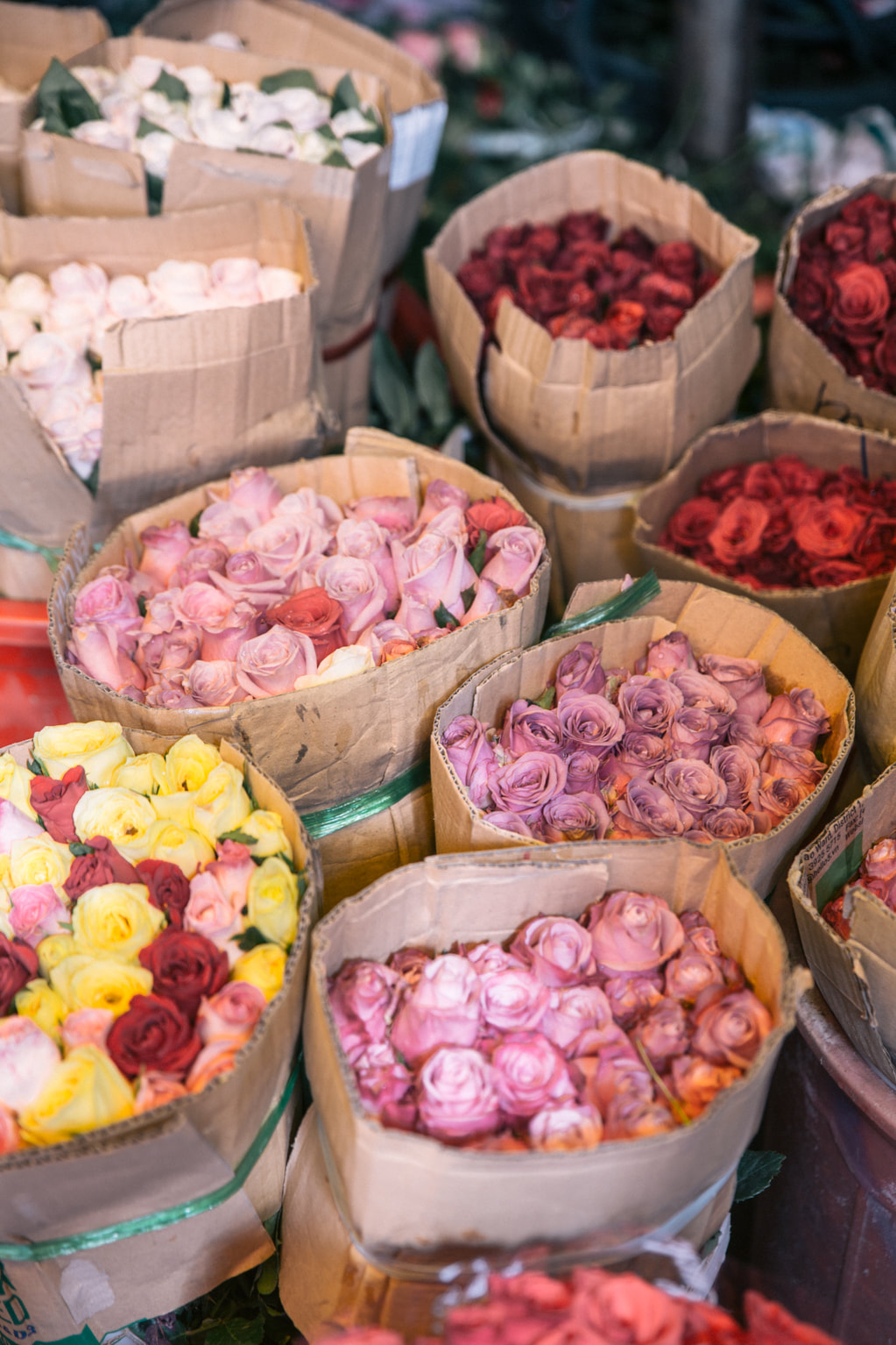 Flower shopping at Ho Thi Ky flower market, Ho Chi Minh City by The Belle Blog 