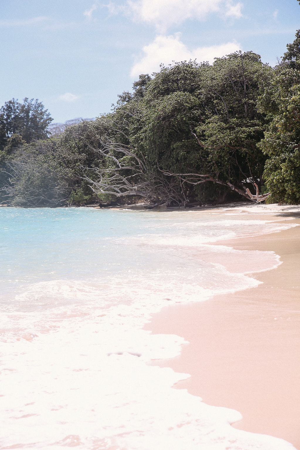 Curieuse Island, The Seychelles by The Belle Blog 